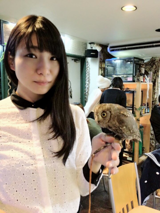 Illustration for article titled Who Thinks Japan's Owl Cafes Are a Hoot?